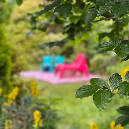 Kleurrijk Huisje Voor 5-personen Op De Veluwe ハルデルウェイク